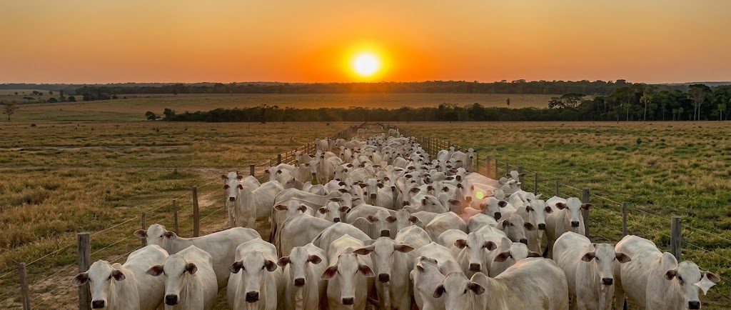 Imagem de fundo destacando os planos mensais